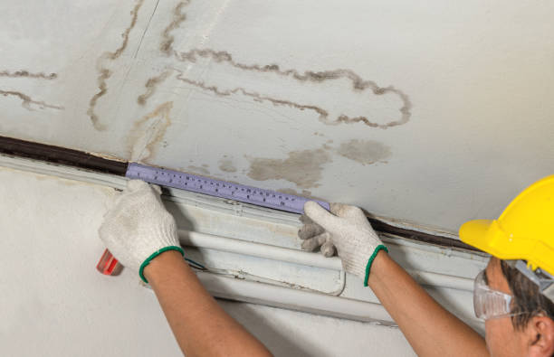 Reliable Basement Water Removal contractor in Richmond, VA by Water Damage Irwin